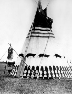 Le tipi